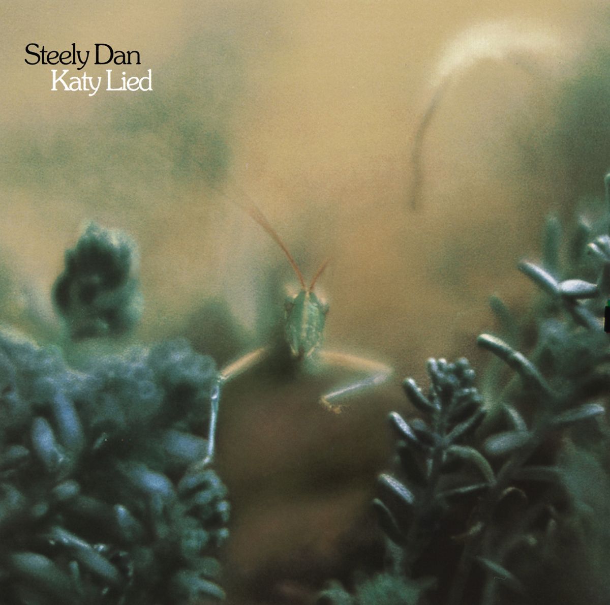 Steely Dan. Katy Lied (CD) (Remastered) (EU Import) - новый запечатанный компакт-диск, импорт из Евросоюза