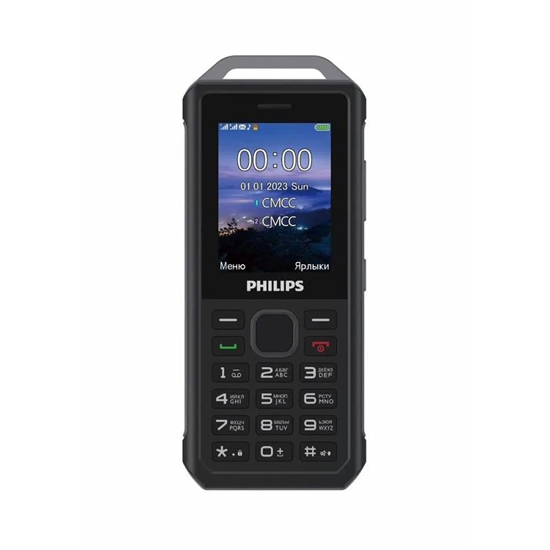 Philips Xenium E2317 купить на OZON по низкой цене