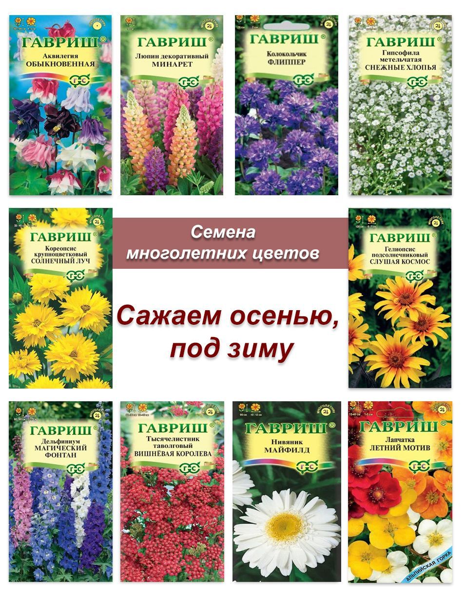 Цветы которые сажают под зиму. Семена цветов многолетников под зиму. Семена цветов многолетников под зиму. Семена цветов многолетников под зиму. Семена цветов многолетников под зиму.