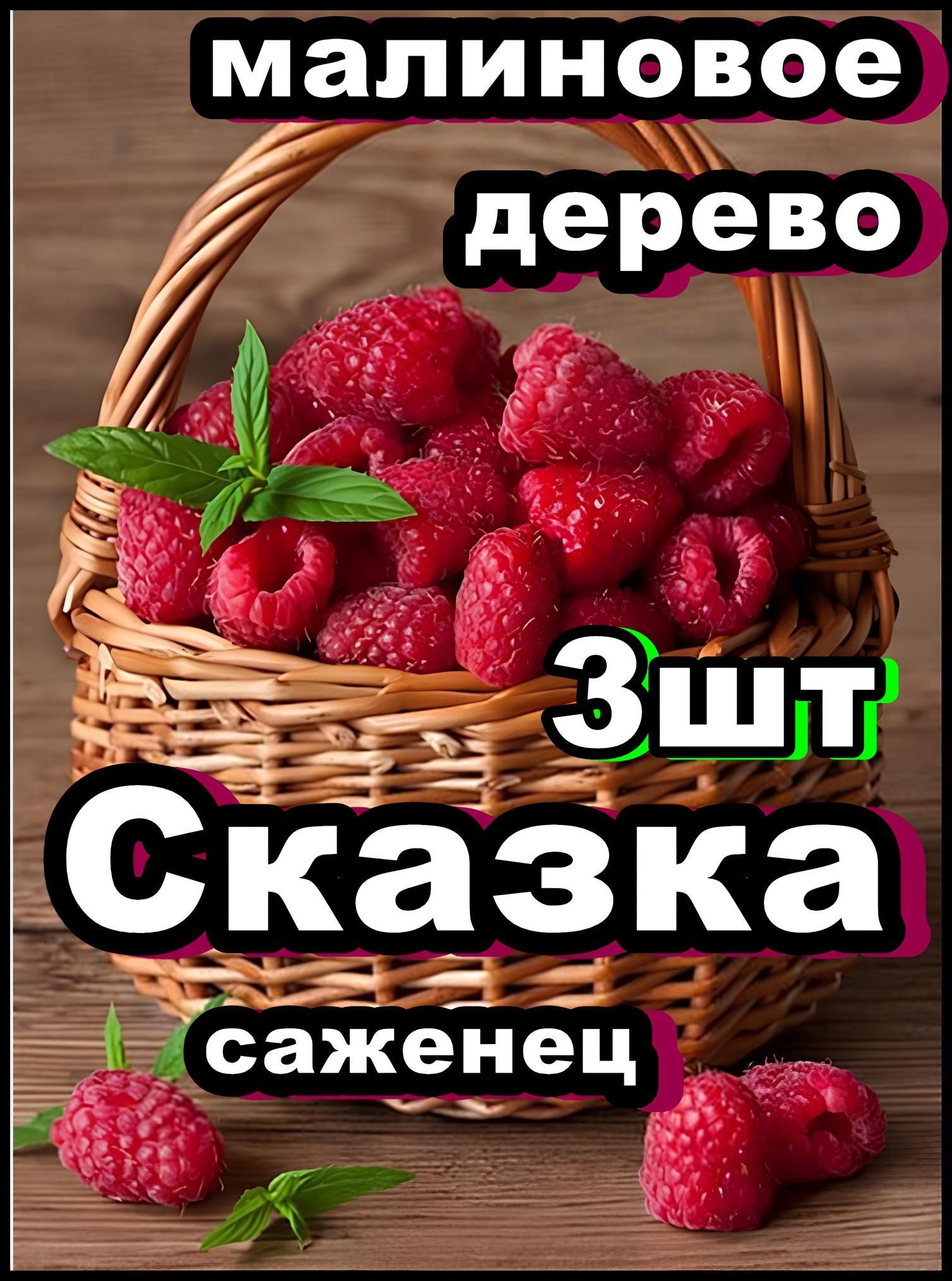 Малиновое Дерево Сказка Купить В Спб