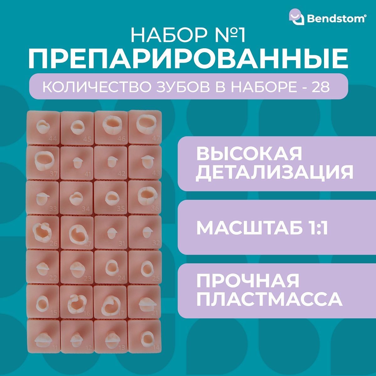 Набор №1 препарированные 28 зубов для отработки мануальных навыков / стоматологические модели для реставрации