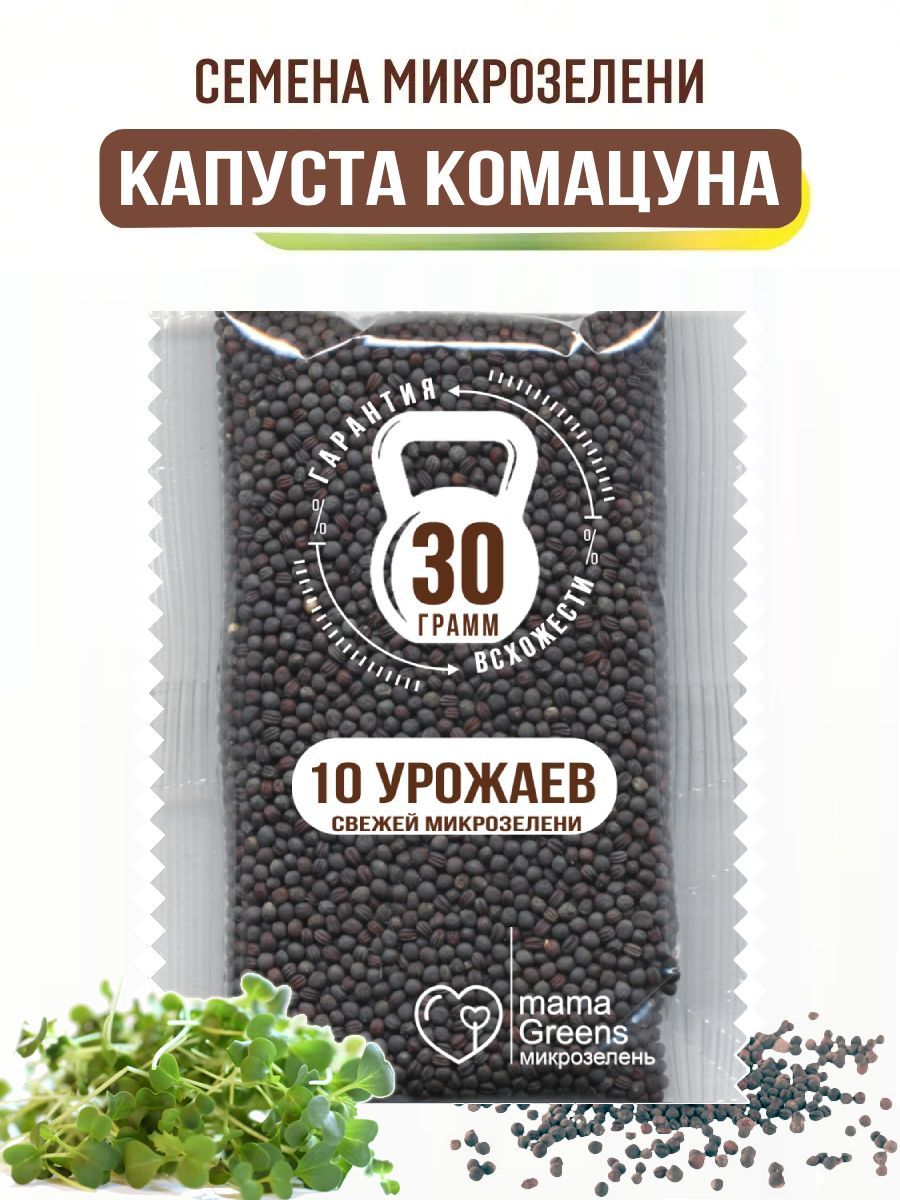 Капуста КОМАЦУНА 30 гр (Японский шпинат) - семена микрозелени для  выращивания и проращивания / 10 урожаев / Огород на окне - купить с  доставкой по выгодным ценам в интернет-магазине OZON (1219051873)