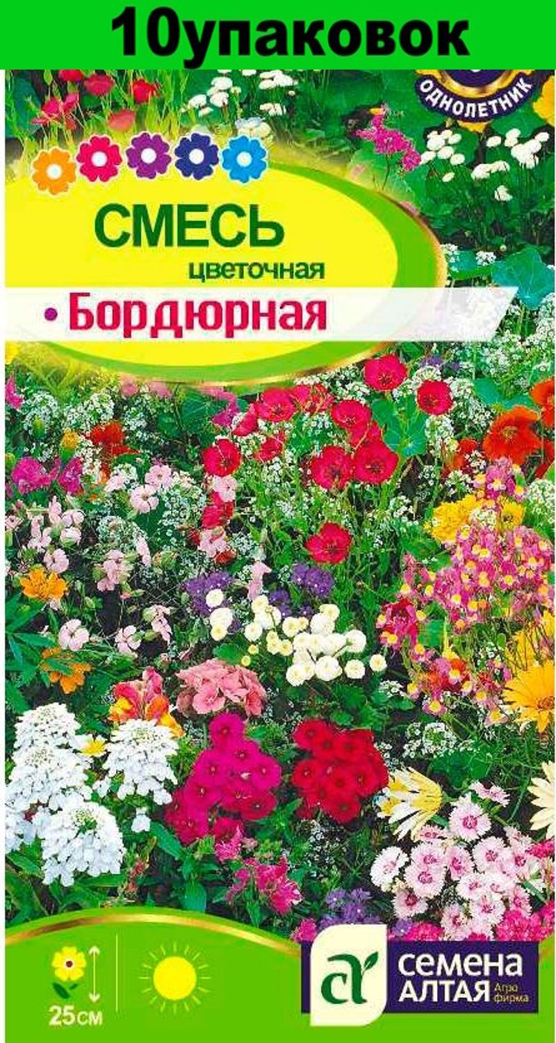акварель тремя цветами. цифра 0 красивая из цветов. цветок ноль цветов. тычинки для цветов. смесь цветочная бордюрная.