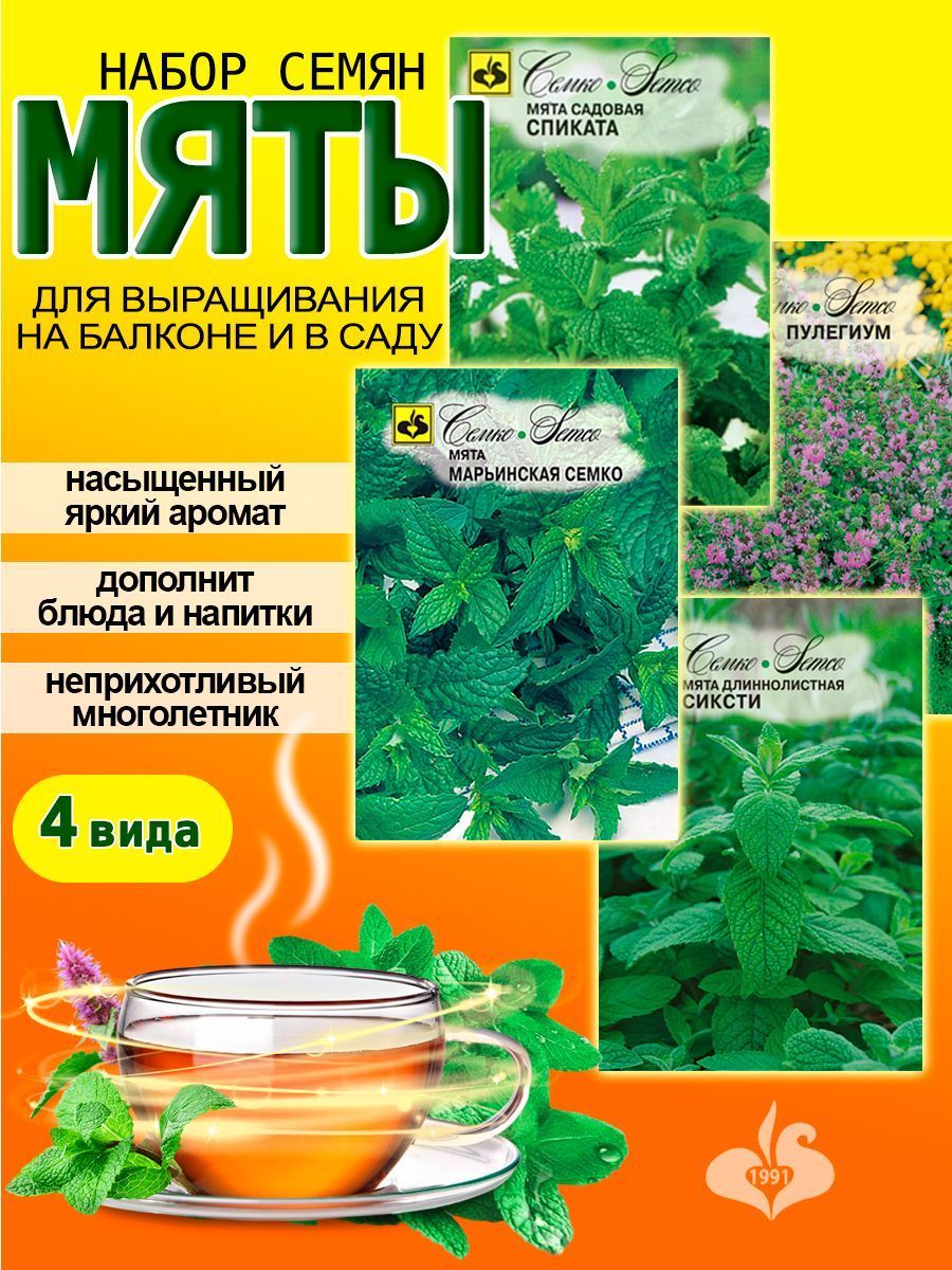 Мята семена, набор, 4 пачки, Семко