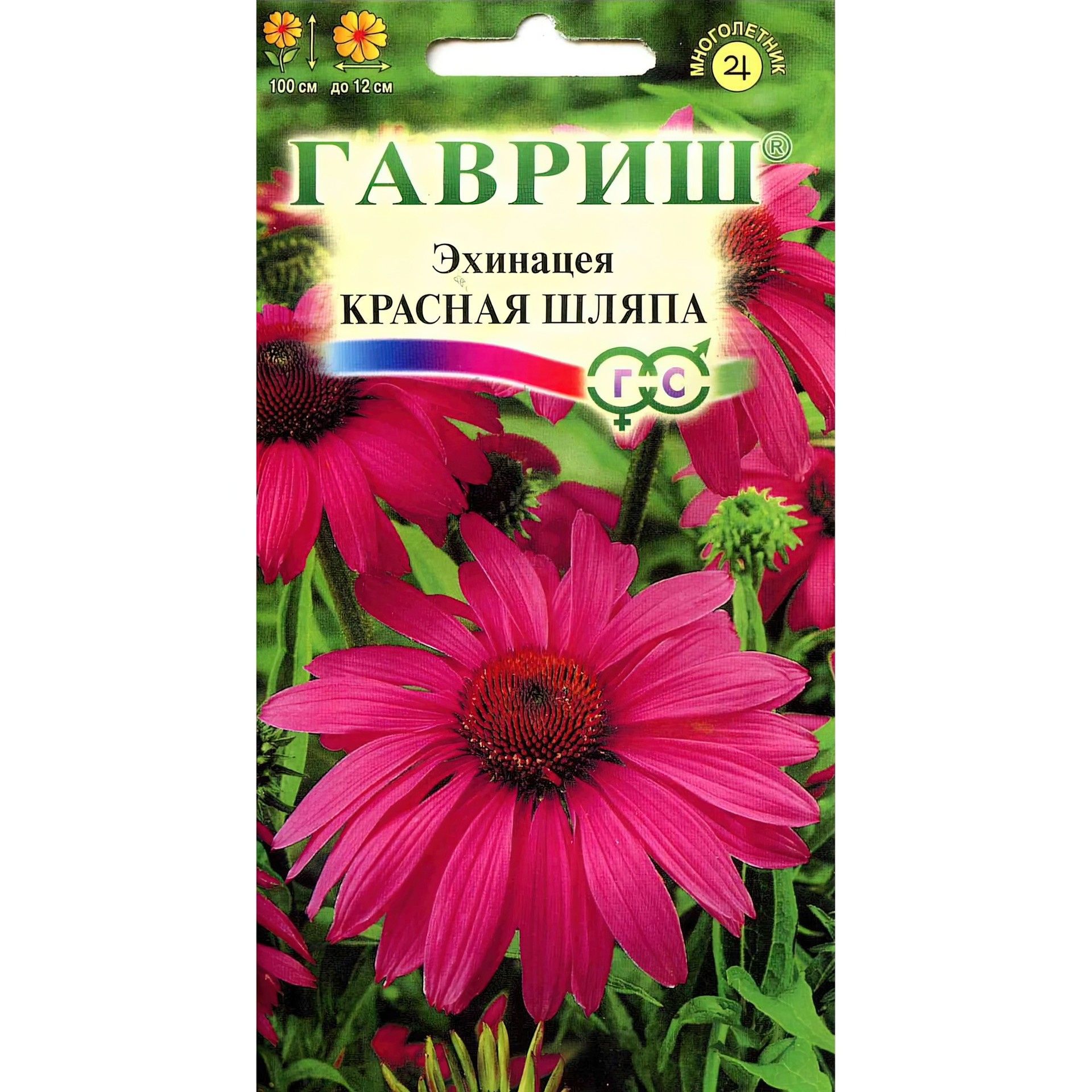 Эхинацея Цветок Купить Семена Многолетней На Авито