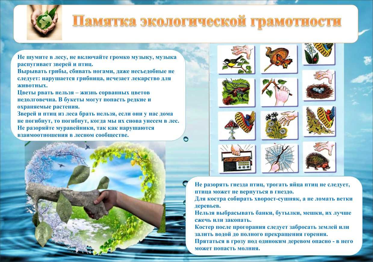 Что такое экологическая грамотность. Экологическая памятка. экологическая грамотность. экологическая памятка для школьников. памятка по экологическому праву.