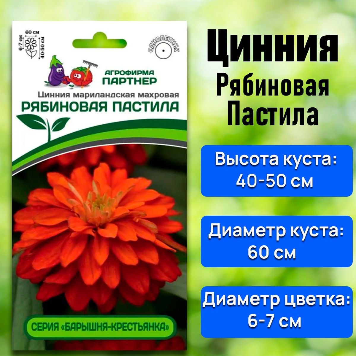 Циннии, Циния Агрофирма Партнер Томат 2_1_Рябиновая Пастила - купить по  выгодным ценам в интернет-магазине OZON (1053229822)