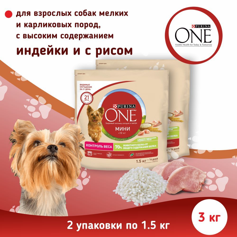 Сухой корм Purina ONE МИНИ Здоровый вес ДЛЯ СОБАК мелких пород, склонных к  набору веса с индейкой и рисом 1.5кг х 2шт - купить с доставкой по выгодным  ценам в интернет-магазине OZON (