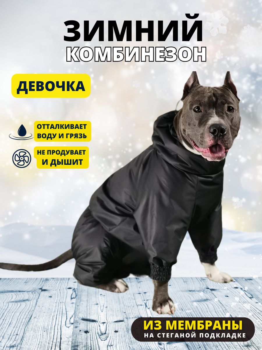 Комбинезон зимний для собак средних пород SNOW plus, 50+ж (сука), черный,  3XL+ - купить с доставкой по выгодным ценам в интернет-магазине OZON  (788178905)