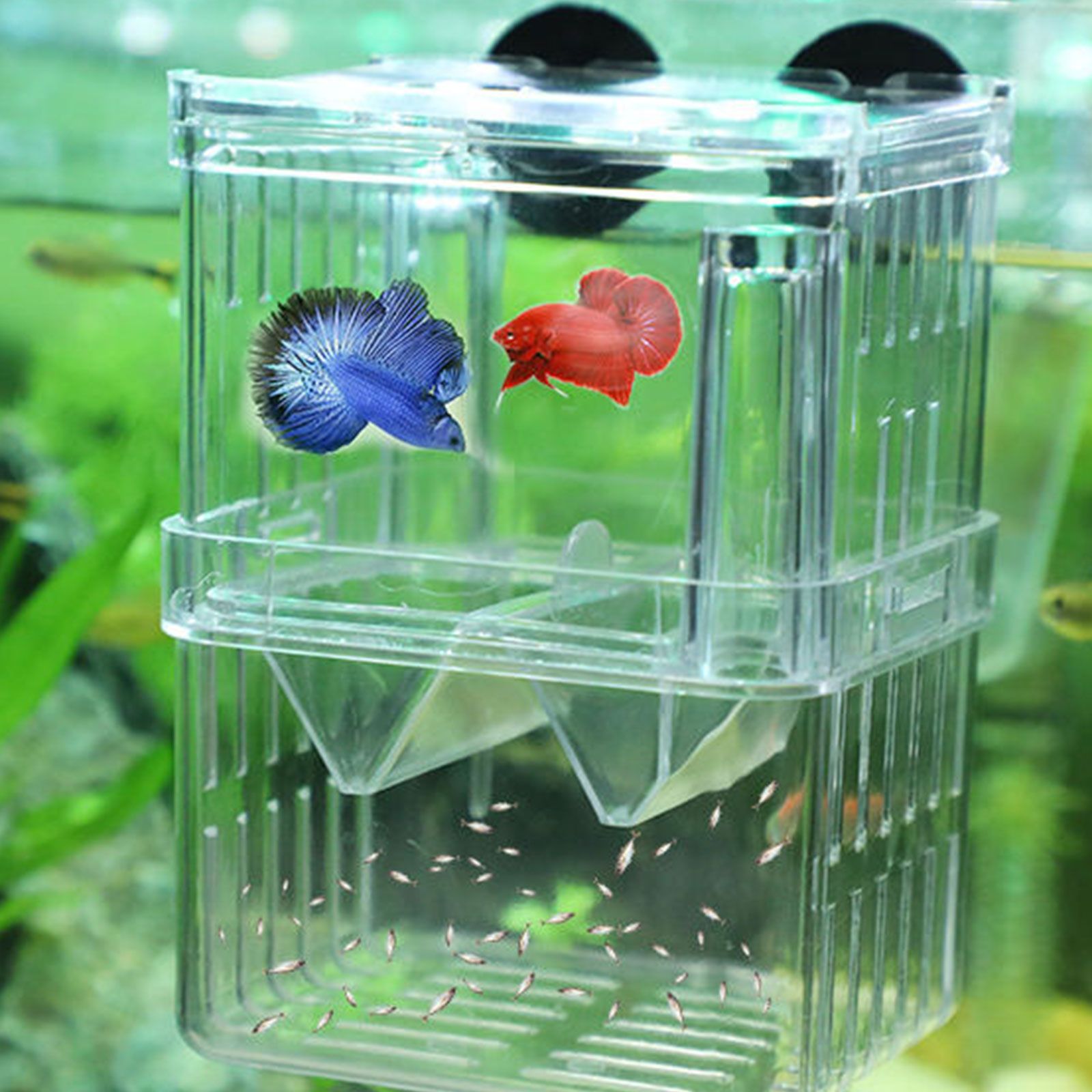 Breeding box