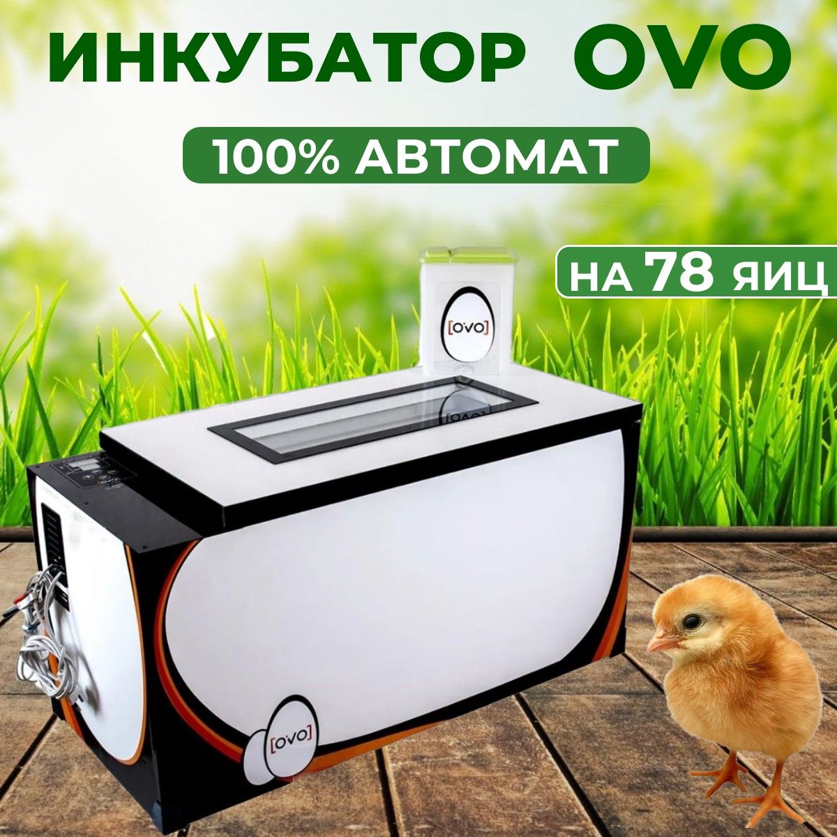 Инкубатор OVO на 78 яиц (100% автомат) - купить с доставкой по выгодным  ценам в интернет-магазине OZON (363762444)