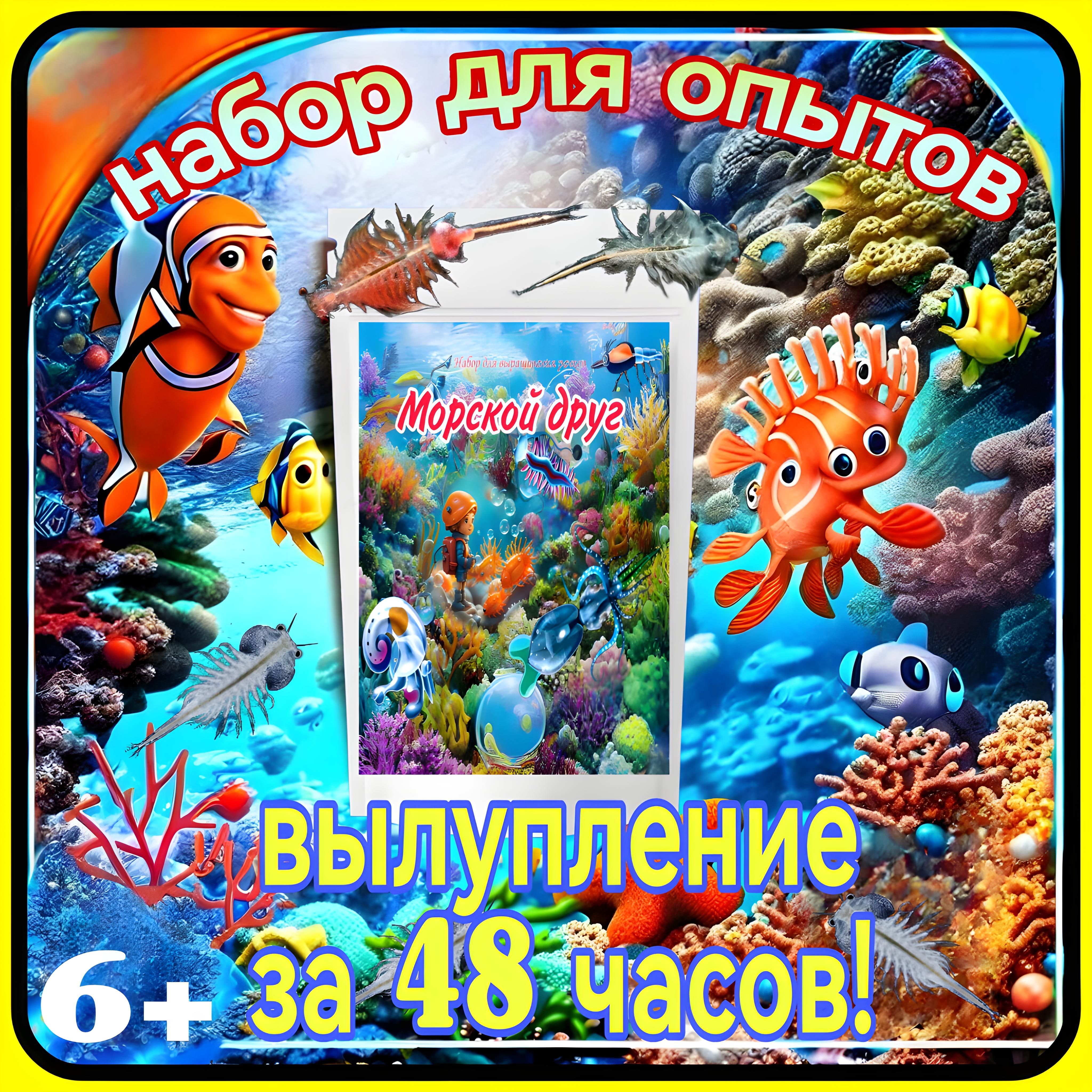 Набор для опытов детский. Морской друг. Артемии, соль, песок. - купить с  доставкой по выгодным ценам в интернет-магазине OZON (1391531456)