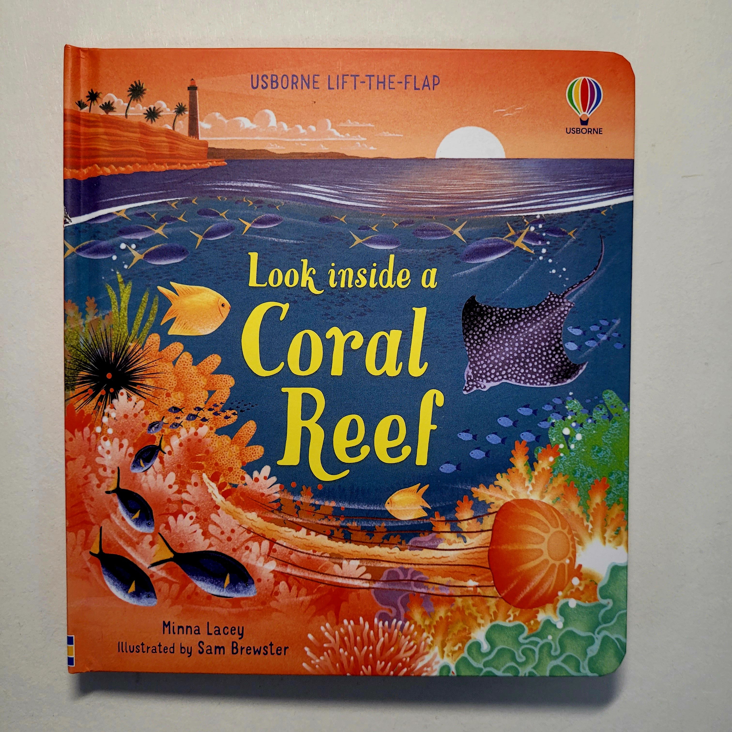 Usborne Lift-the-Flap. Look inside a Coral Reef. | Lacey Minna