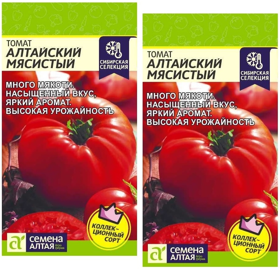 Томат алтайский мясистый характеристика и описание отзывы. Томат алтайский мясистый семена алтая. Томат алтайский мясистый характеристика и описание отзывы. Семена алтая - сортовые новинки перцев. Томат алтайский мясистый характеристика и описание отзывы.