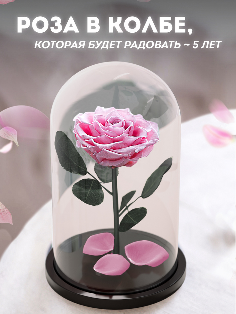 Долговечная роза в колбе Premium, цветы, подарочный набор-букет для женщины, подарок на день рождения, #1