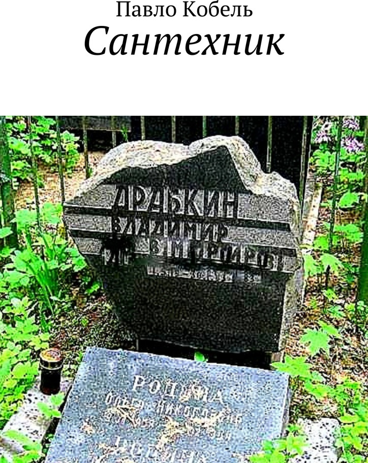 Книга \"Сантехник\" – купить книгу ISBN 9785448374746 с быстрой доставкой ...