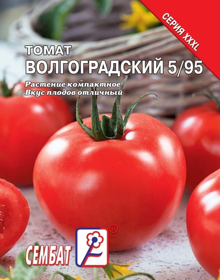 Томат волгоградский фото. Томат Волгоградский. Томат Волгоградский Гавриш. Томат волгоградские зори.