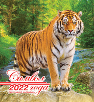 Дак Плей Новые Серии 2022 Года Дак Плей Новые Серии 2022 Года