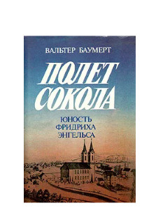 Читать книгу полет сокола