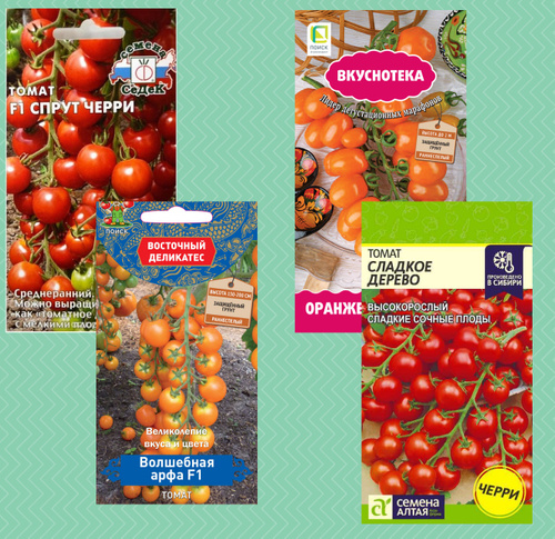 Отзывы на Семена томатов в наборе Спрут черри F1 , Волшебная арфа F1 ,Оранжевый фонтан , Сладкое дерево ; 4 сорта от покупателей OZON