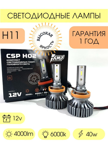 Csp 11