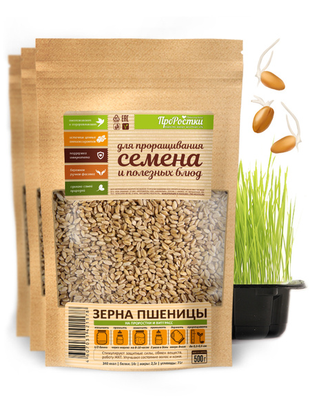 Пшеница зерно для проращивания и витграсс, 1,5 кг - купить с доставкой ...