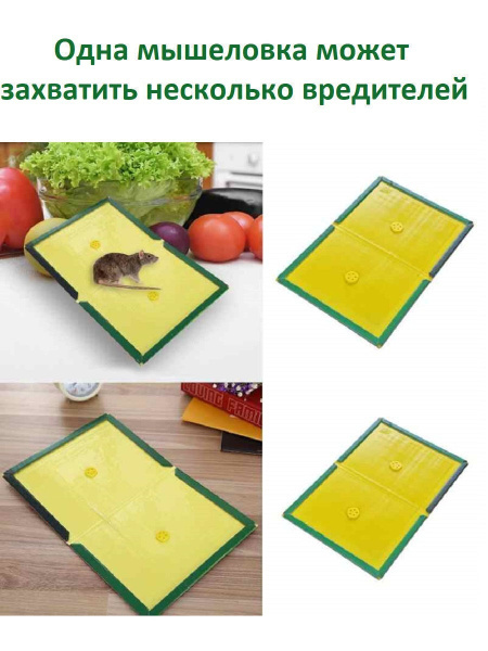 Ловушка для мышей и крыс, мышеловка клеевая картонная - купить с ...