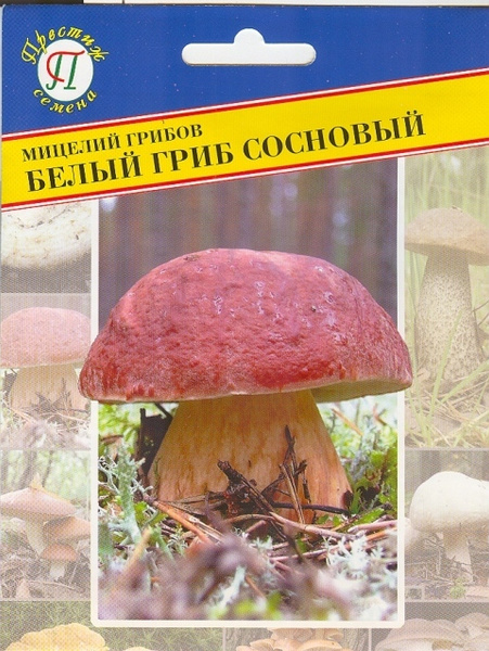 Лесные грибы Престиж семена пр4-403630-1 - купить по выгодным ценам в ...