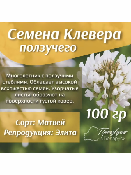 Газонные травы, Сидераты СЕМЕНА Клевер белый ползучий - купить по ...