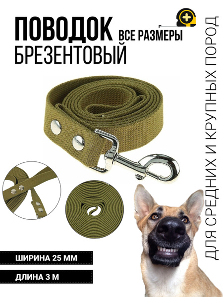 Поводок для собак средних и крупных пород брезентовый ширина 25 мм ...