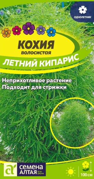 Кохия Семена Алтая V Кохия СА - купить по выгодным ценам в интернет ...