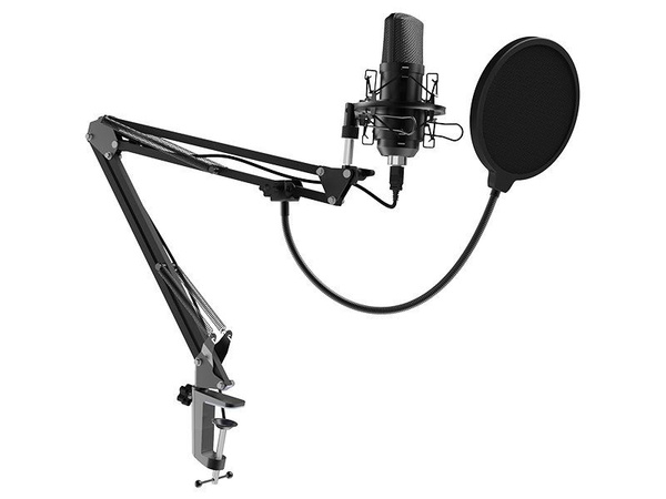 Микрофон для живого вокала Ritmix RDM-169 - купить по выгодной цене в ...