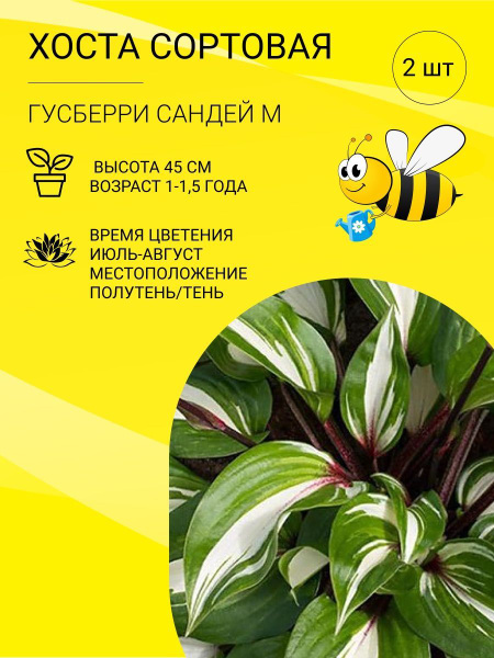 Корни - купить с доставкой по выгодным ценам в интернет-магазине OZON ...