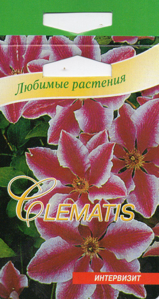 Клематисы моголетних цветов_белый - купить по выгодным ценам в интернет ...