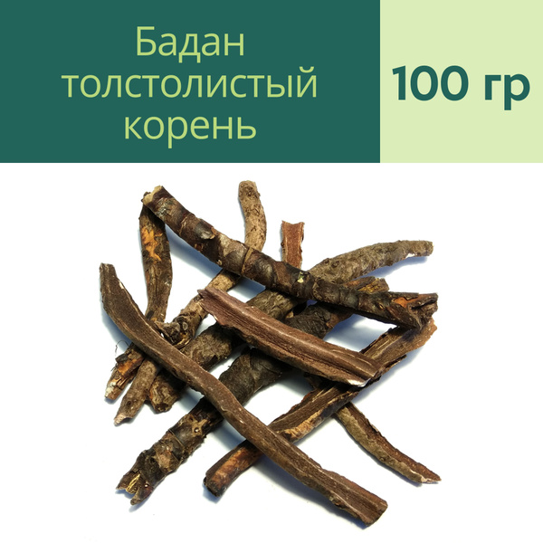 Травяной чай Бадан толстолистный корень (100 гр) - Родные Травы ...