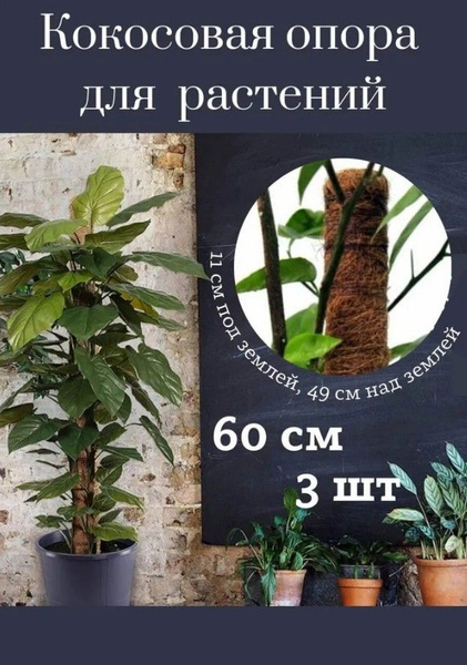 Кокосовая опора для комнатных и садовых цветов, держатель для растений ...
