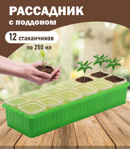 Набор для рассады / рассадник/ поддон РАДИАН "Дом и дача" зеленый, 12 ...