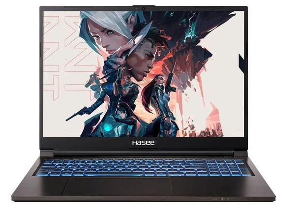 Игровой ноутбук Hasee T8 (T8 16_16_512_GEFORCE RTX 3060_BLACK), черный ...