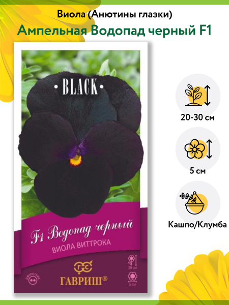 Виолы, анютины глазки Гавриш анютины глазки, виола ампельная, цветы ...