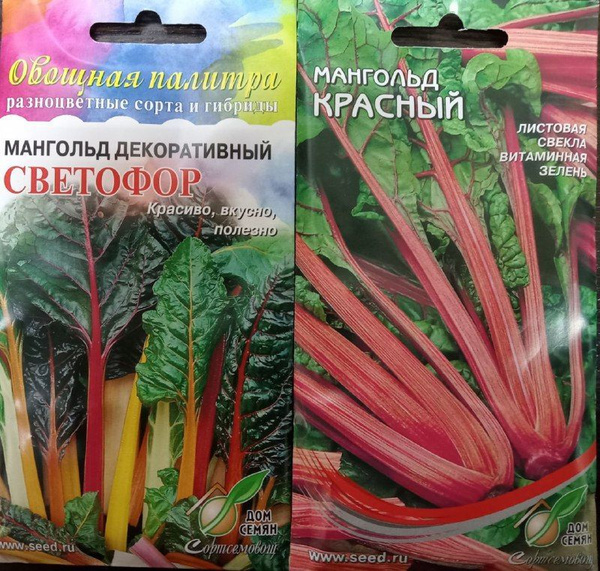 Мангольд Дом Семян листовая свекла - купить по выгодным ценам в ...