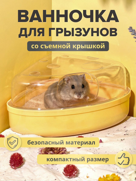 Ванночка купалка для грызунов, хомяков, крыс, мышей - купить с ...