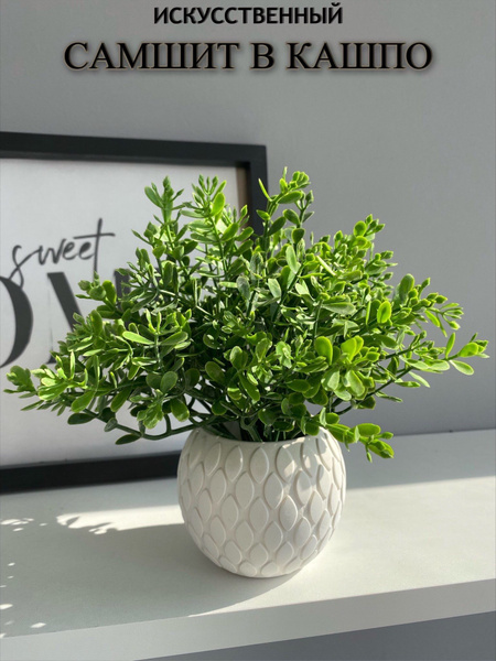 Купить Искусственная зелень самшит для декора по выгодной цене в ...