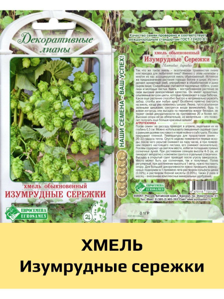 Огурцы Изумрудная Сережка Отзывы Фото
