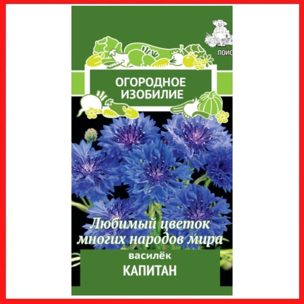 Васильки однолетние ПОИСК Агрохолдинг Василек Блэк Бол - купить по ...
