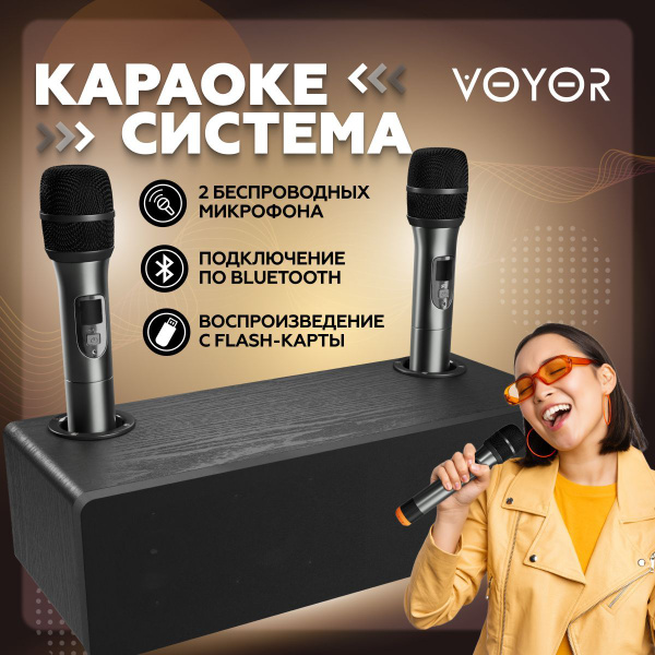 Караоке система для дома/телевизора с двумя беспроводными микрофонами ...