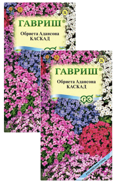 Гавриш цветок как выглядит