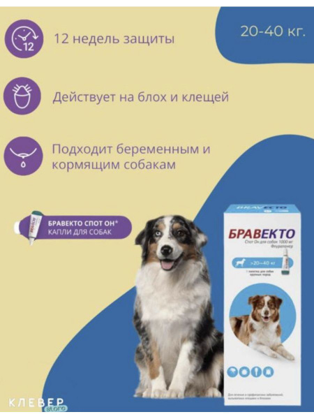 Бравекто Spot-On капли на холку для собак 20-40 кг, 1 пипетка - купить ...
