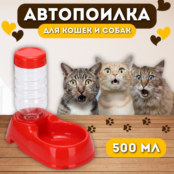 Поилка для кошек и собак - купить с доставкой по выгодным ценам в ...