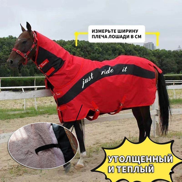 Попона для лошади - купить с доставкой по выгодным ценам в интернет ...