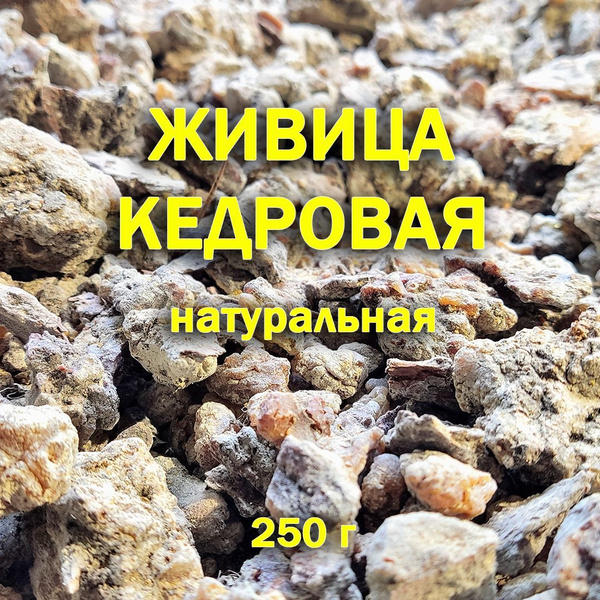 Живица(смола) кедровая натуральная, 250г - купить с доставкой по ...